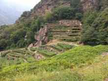 Bello no?  Si, ma in salita!!!