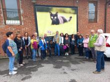 Nascondiamo il povero topo!