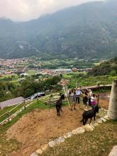 Praticamente arrivati