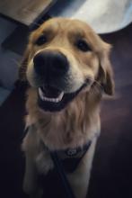 Il partecipante più ... silenzioso!