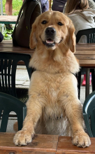 ... compresa la nostra simpatica mascotte, Jack!